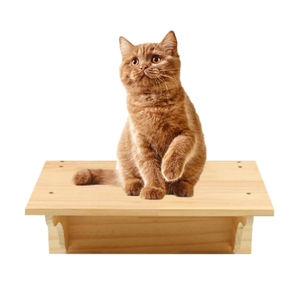 1 peça para gatos para parede - Casa589B
